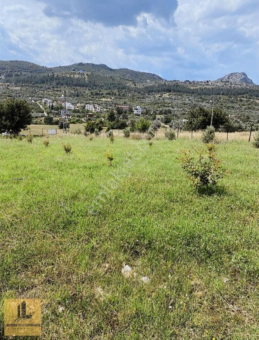 Kozan Gayrimenkul'den Ağlıboğaz'da 500 M2 Yol Kenarı - Görsel 3