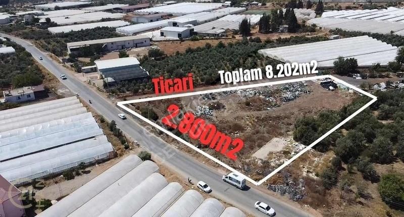 Kepez Varsak 2800m2 Ticari 60'lık Yola Cephe Satılık Arsa