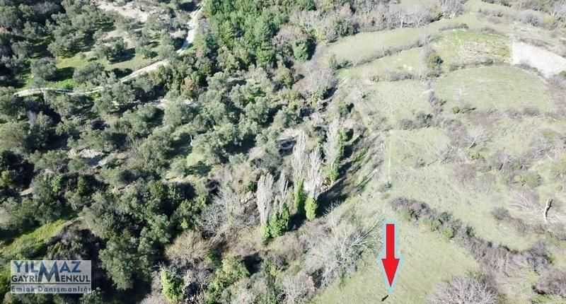 Fırsat ! Bergama Koyuneli Yatırımlık 900 M2 Satılık Bahçe - Görsel 20