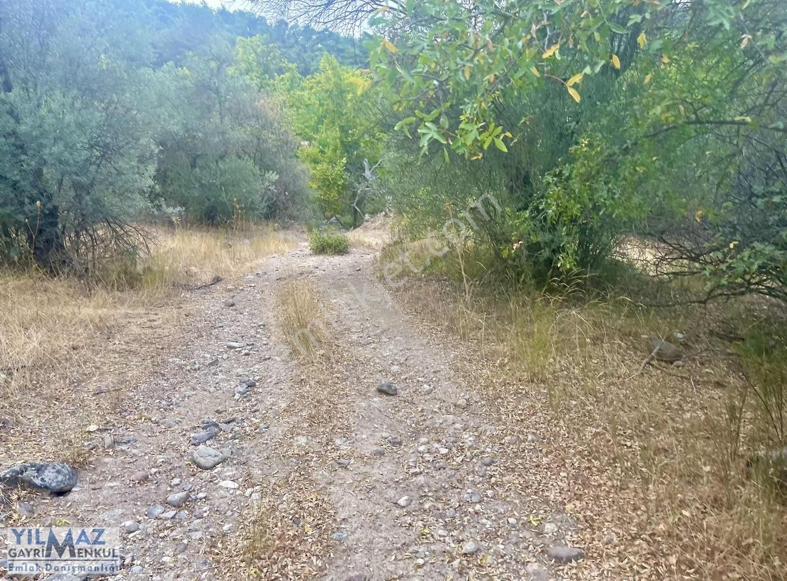 Fırsat ! Bergama Koyuneli Yatırımlık 900 M2 Satılık Bahçe - Görsel 29