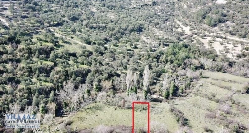 Fırsat ! Bergama Koyuneli Yatırımlık 900 M2 Satılık Bahçe - Görsel 5
