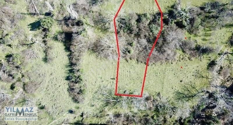 Fırsat ! Bergama Koyuneli Yatırımlık 900 M2 Satılık Bahçe - Görsel 24