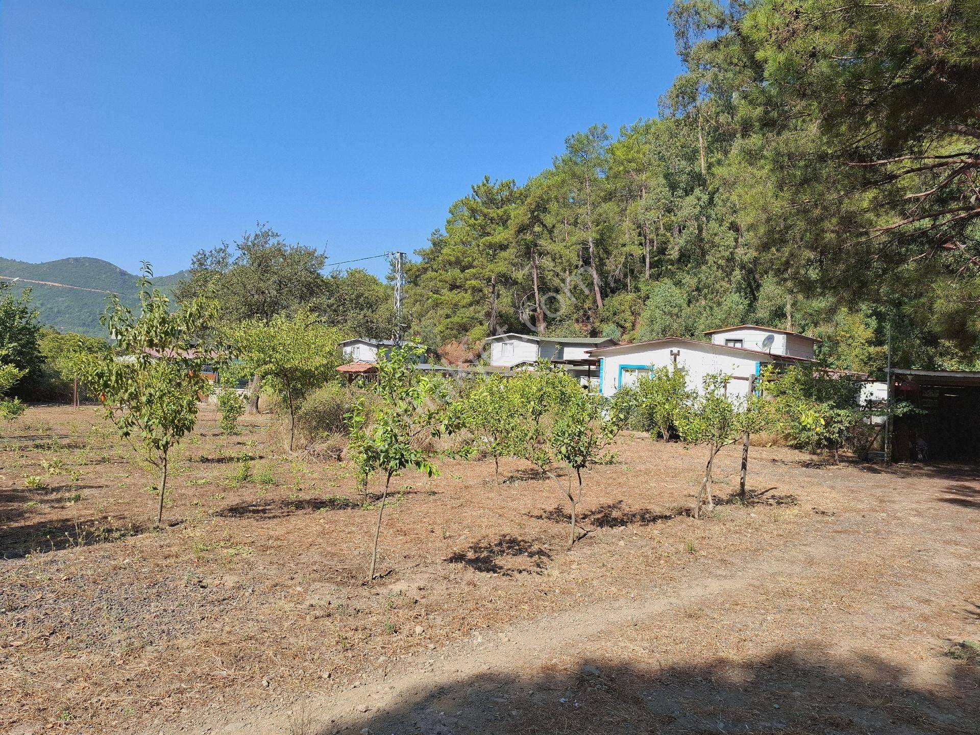 Marmaris Çamlı,da 2.500m2 Müstakil Bahçeli Konut - Görsel 14