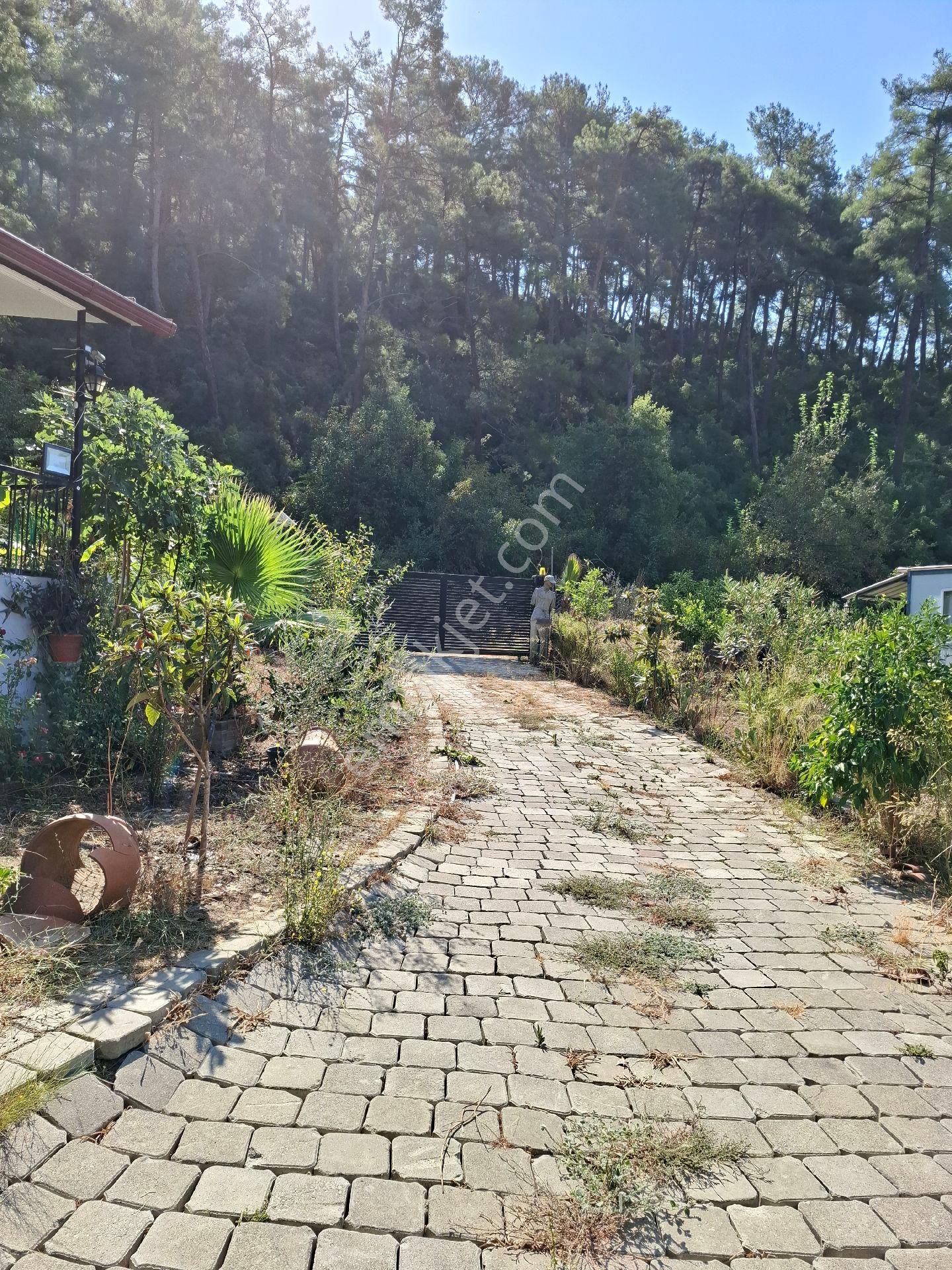 Marmaris Çamlı,da 2.500m2 Müstakil Bahçeli Konut - Görsel 5