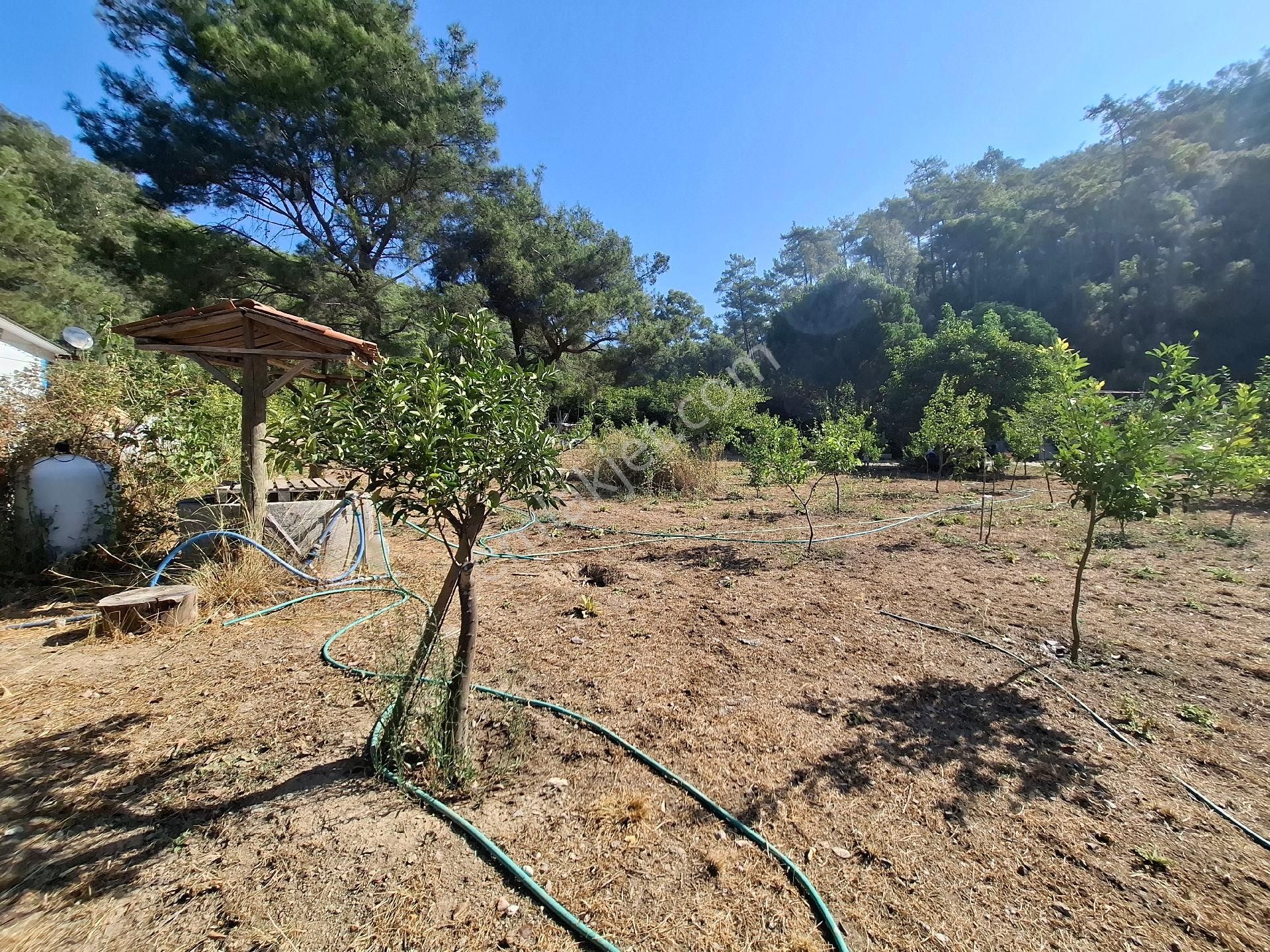 Marmaris Çamlı,da 2.500m2 Müstakil Bahçeli Konut - Görsel 26