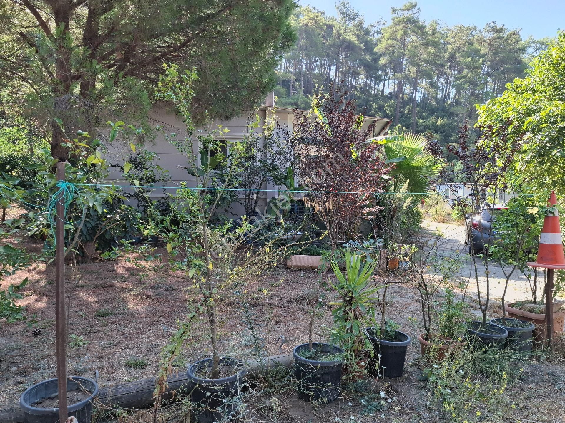 Marmaris Çamlı,da 2.500m2 Müstakil Bahçeli Konut - Görsel 6