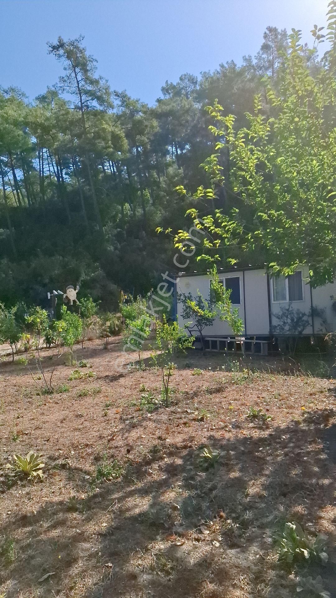 Marmaris Çamlı,da 2.500m2 Müstakil Bahçeli Konut - Görsel 27