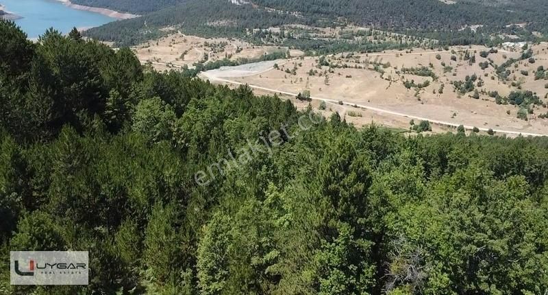 Bursa Osmangazi Güneybudaklar'da 4.450 M2 Satılık Tarla