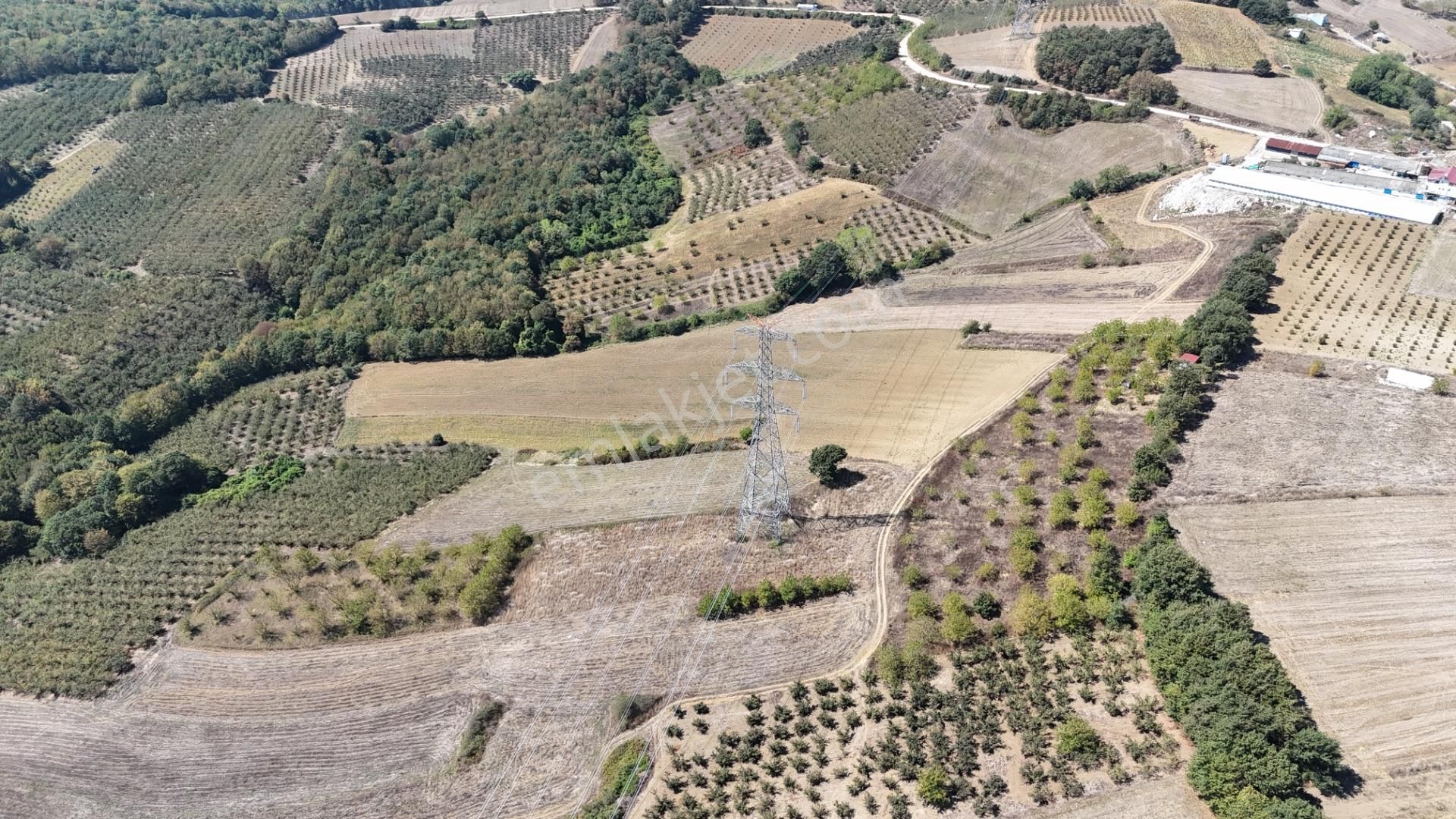 Remax Hür'den Kaynarca Sarıbeylide 1057 M² Yatırımlık Tarla - Görsel 7