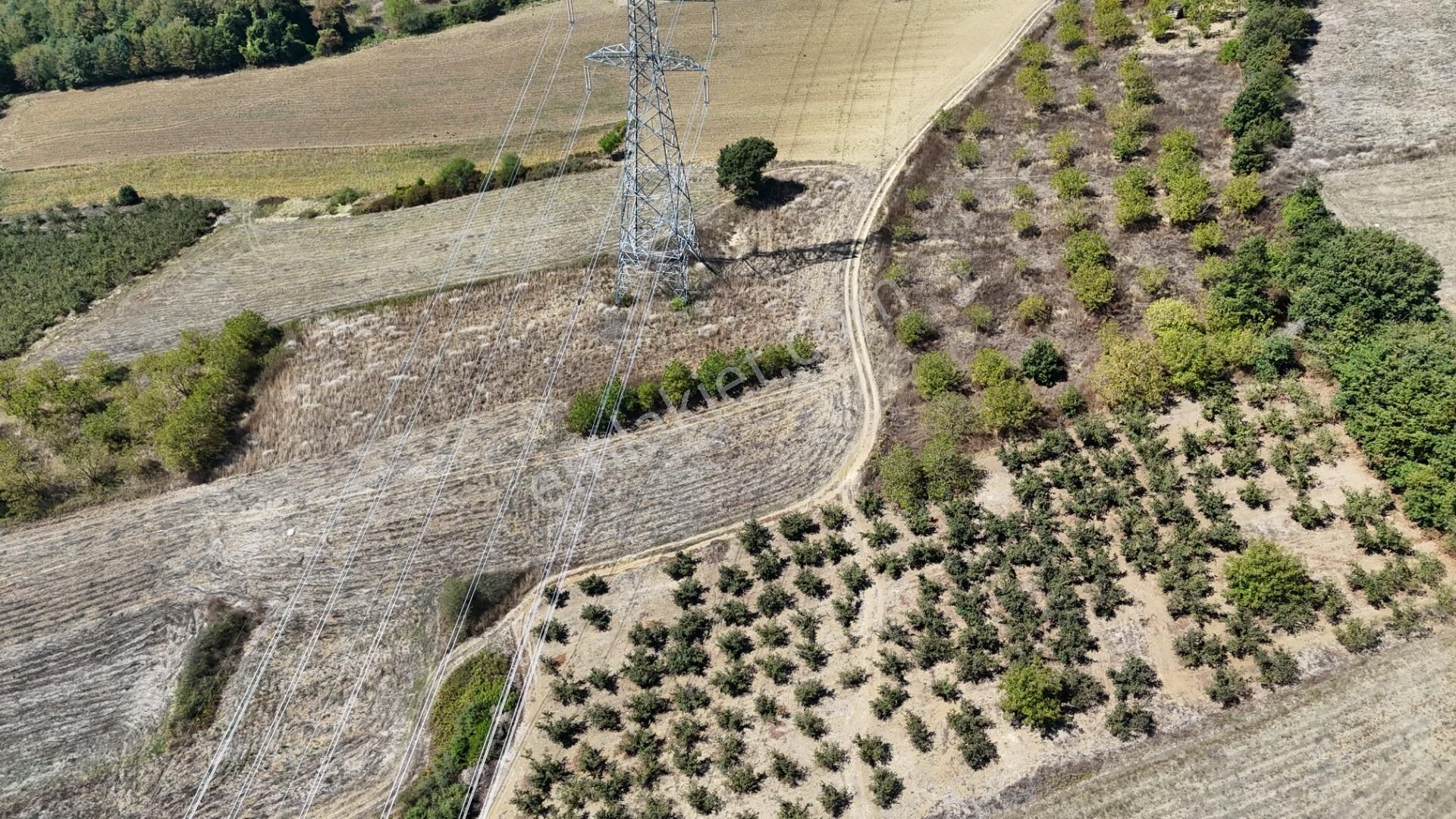 Remax Hür'den Kaynarca Sarıbeylide 1057 M² Yatırımlık Tarla - Görsel 5