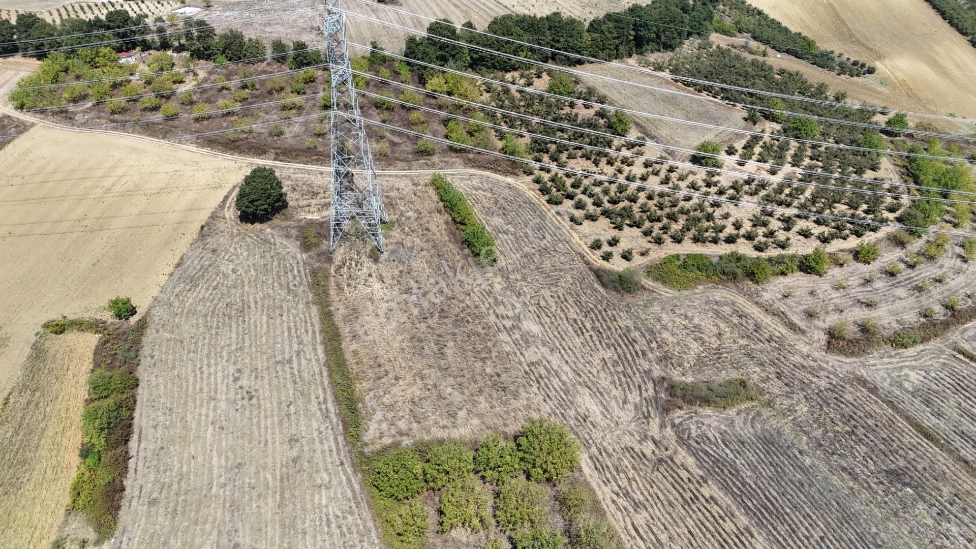 Remax Hür'den Kaynarca Sarıbeylide 1057 M² Yatırımlık Tarla - Görsel 6