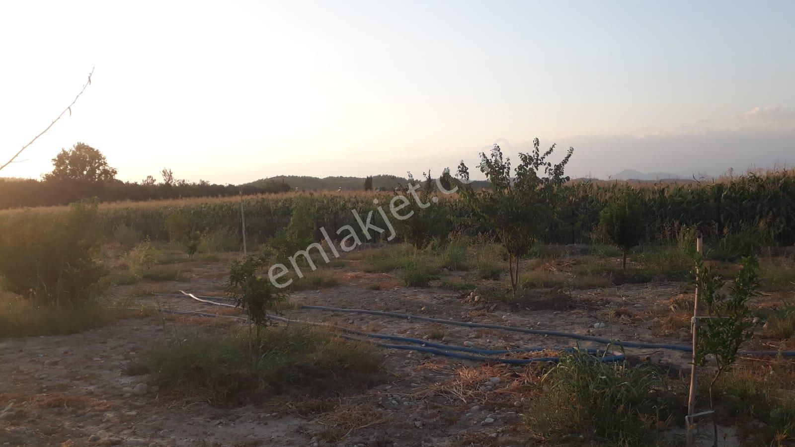Goldhouse Dan Satılık Tarla 3665 M2 - Görsel 24