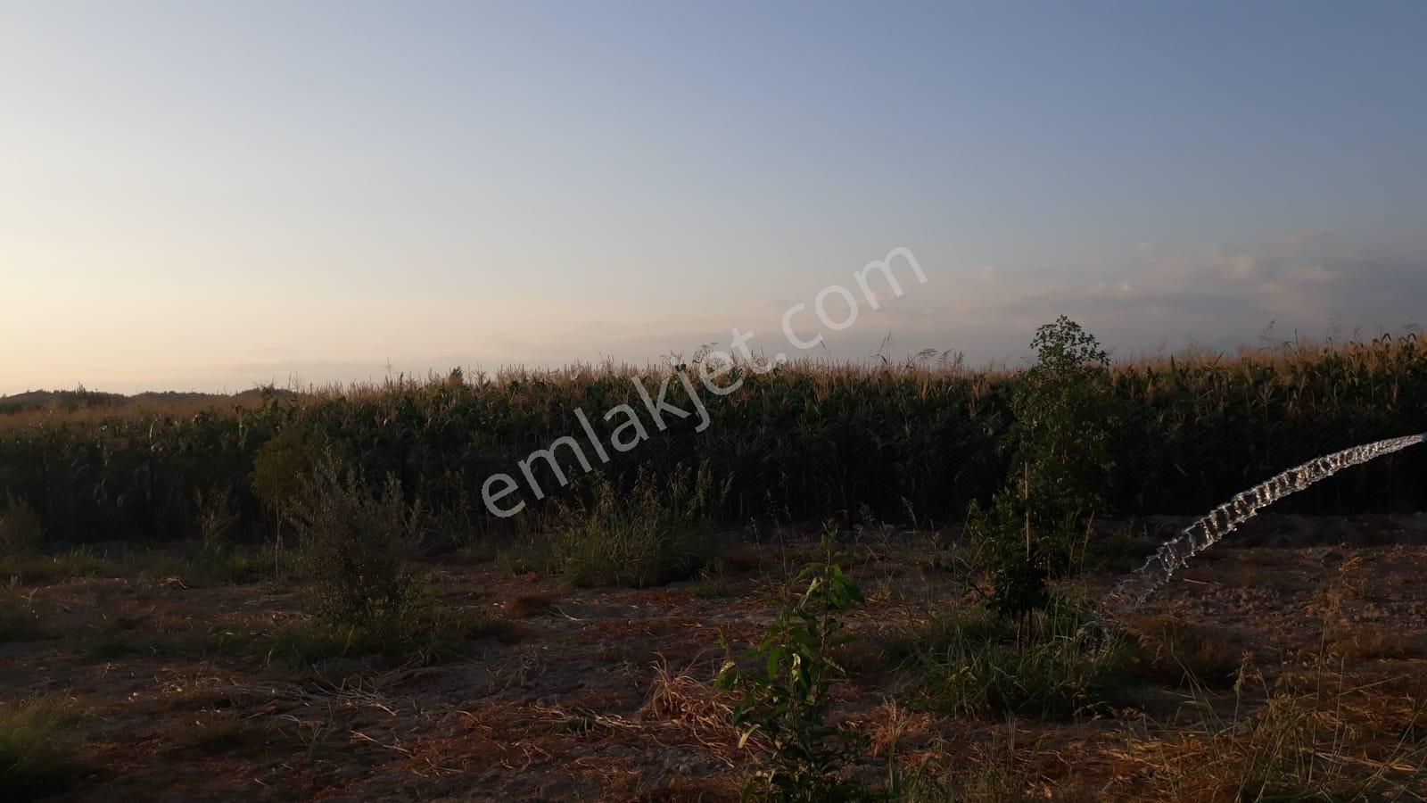 Goldhouse Dan Satılık Tarla 3665 M2 - Görsel 20