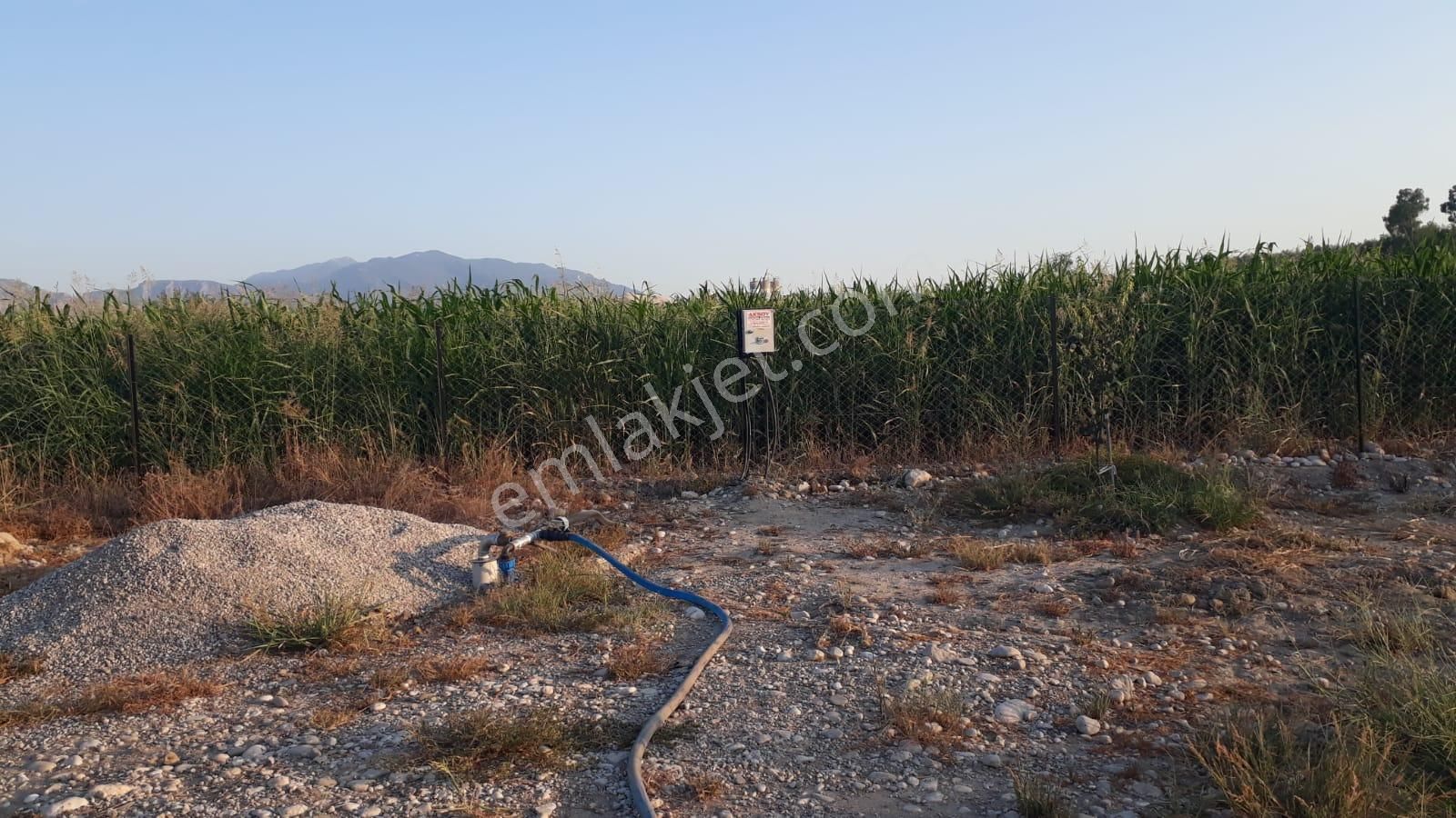 Goldhouse Dan Satılık Tarla 3665 M2 - Görsel 19