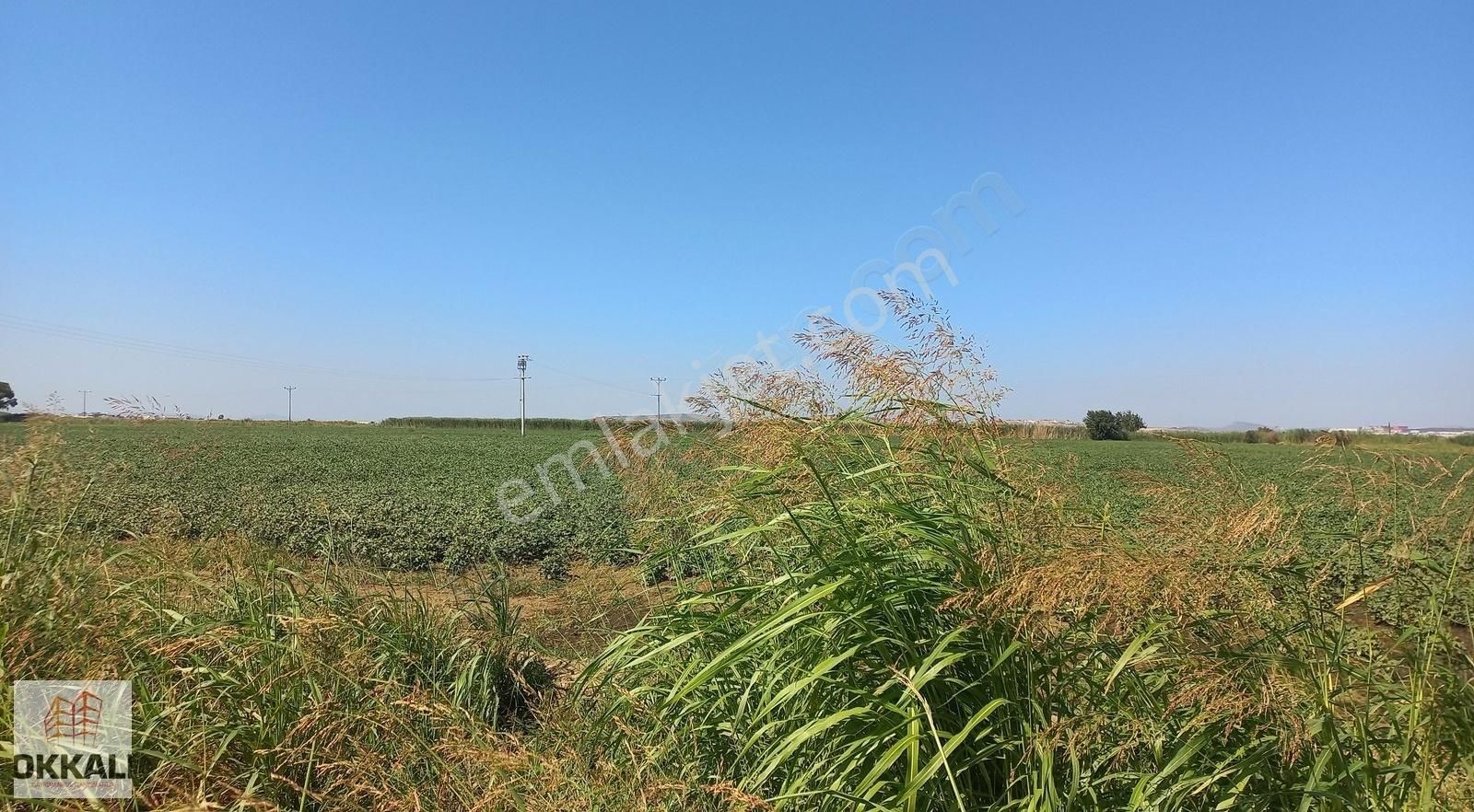 Okkalı Emlak Tan Menemen Kesik Te Satılık Tarla - Görsel 14