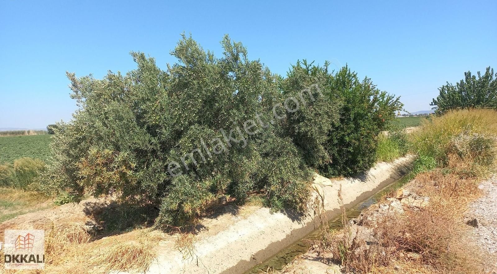 Okkalı Emlak Tan Menemen Kesik Te Satılık Tarla - Görsel 4