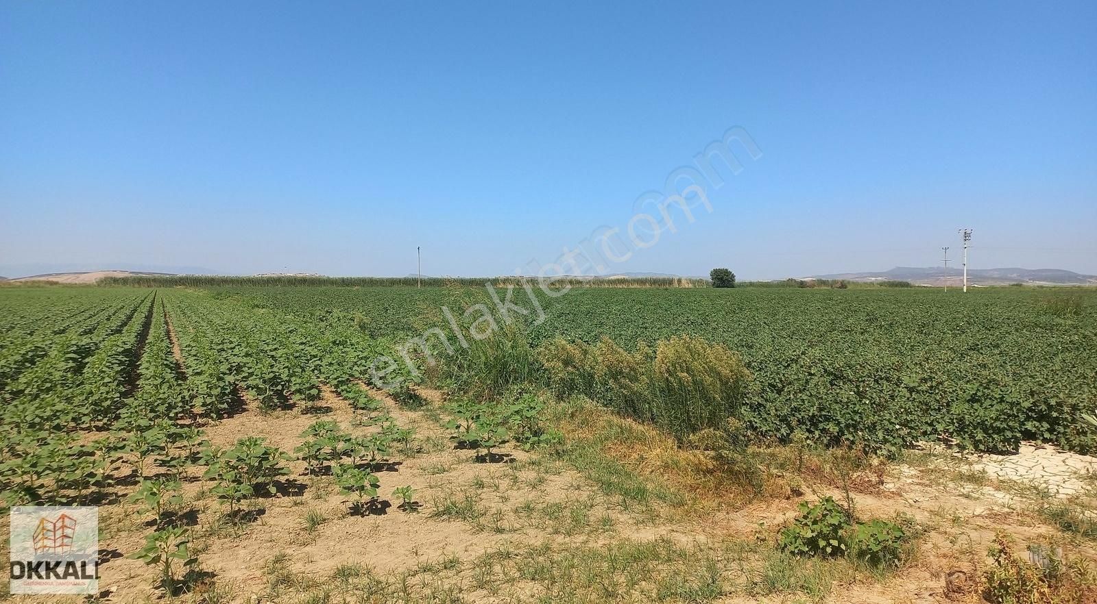 Okkalı Emlak Tan Menemen Kesik Te Satılık Tarla - Görsel 5