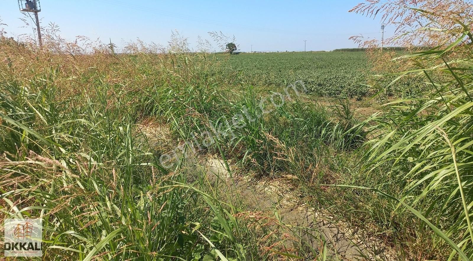 Okkalı Emlak Tan Menemen Kesik Te Satılık Tarla - Görsel 12