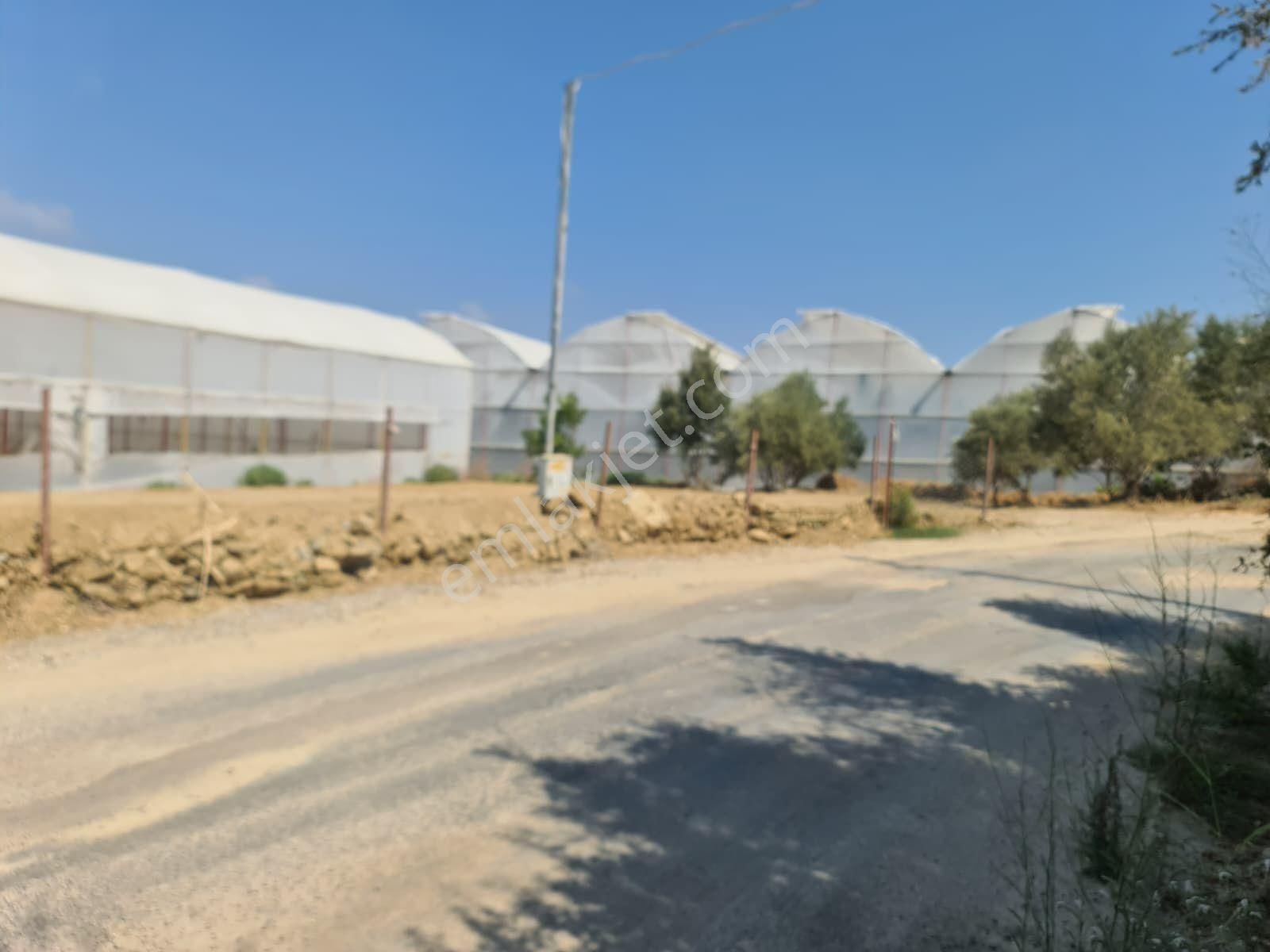 D40karayoluba2. Parsel 2700 M2 Si Ticari İmarlıimarla Sınır Uygun Depo Ticari Parse - Görsel 2