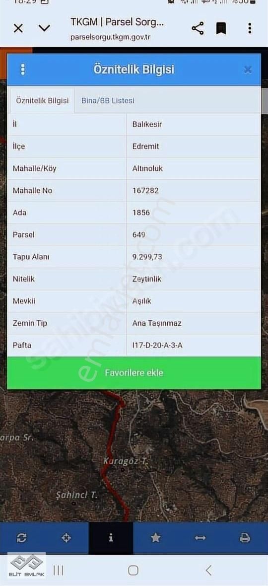 Altınoluk'ta Satılık Muhteşem Deniz Manzaralı Zeytinlik - Görsel 3