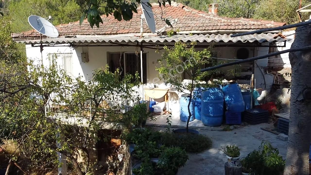 Ön Emlak'tan Sübeyliderede 494 M2 Arsa İçerisinde Müstakil 2+1 Bakımlı Köy Evi! - Görsel 16