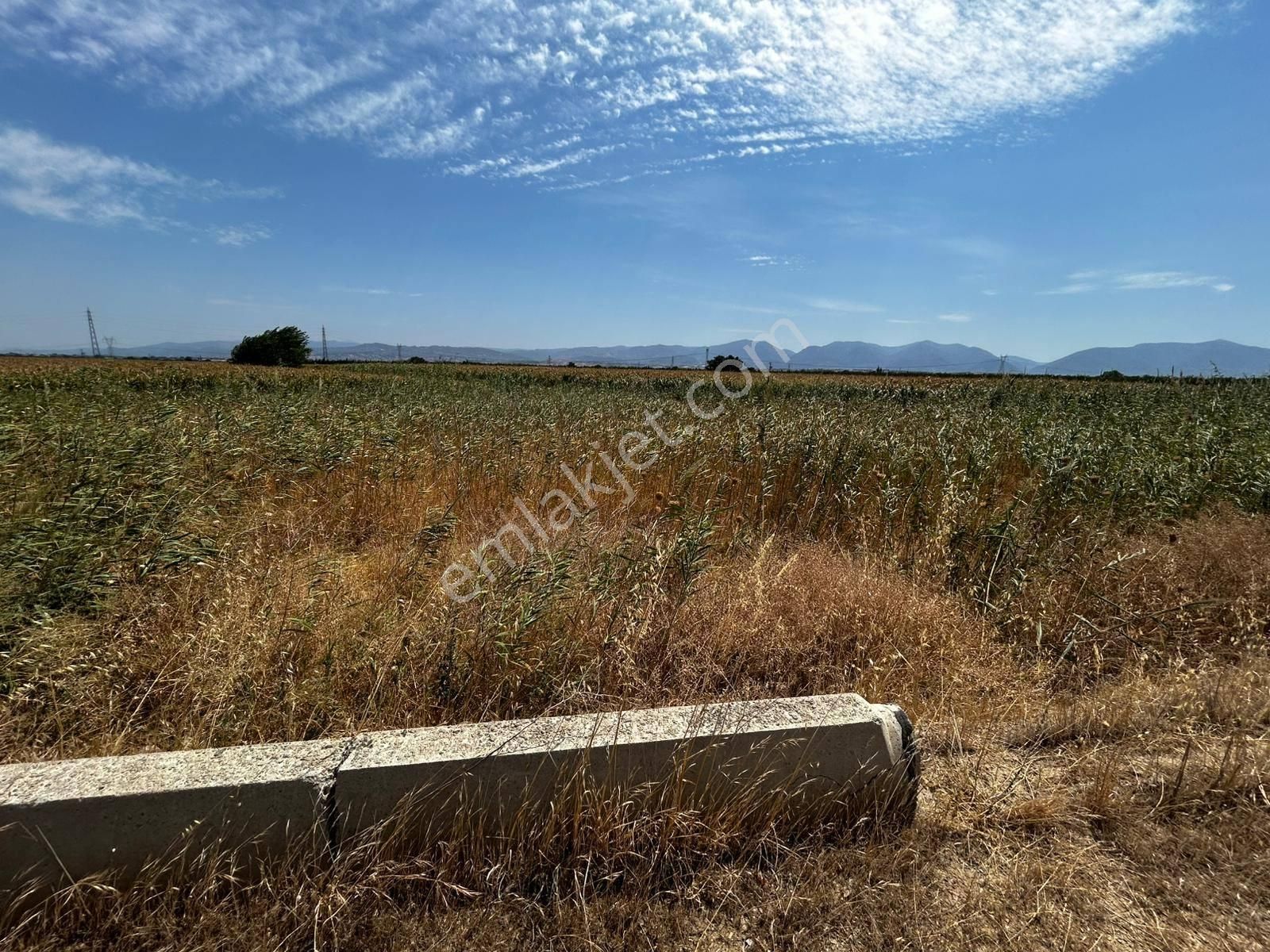 Turgutlu Satılık 7. Mıntıka Otoban Dibi 940m2 Tek Tapu 100m2 Hazine Arazisi Vardır - Görsel 2