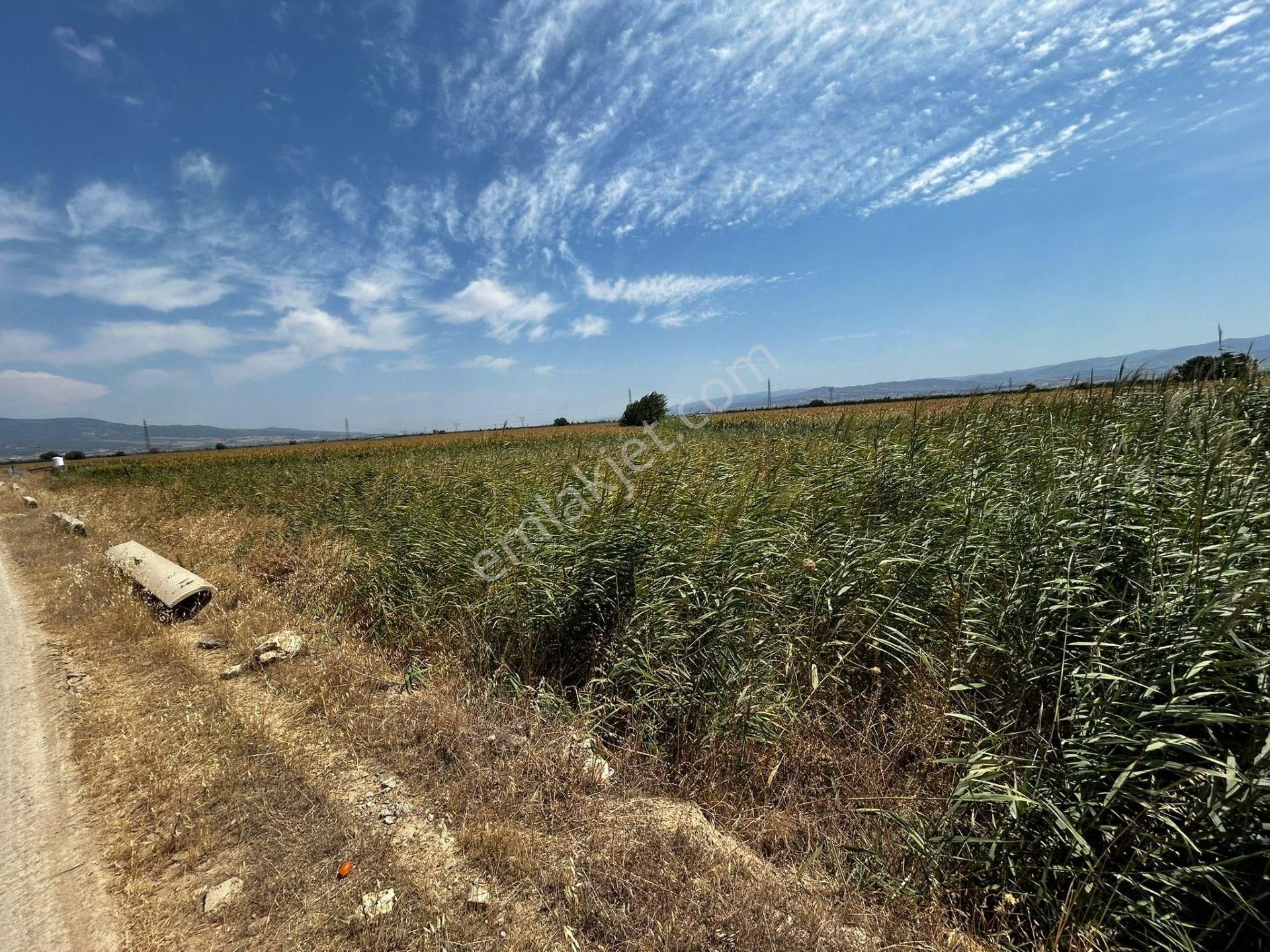 Turgutlu Satılık 7. Mıntıka Otoban Dibi 940m2 Tek Tapu 100m2 Hazine Arazisi Vardır - Görsel 6