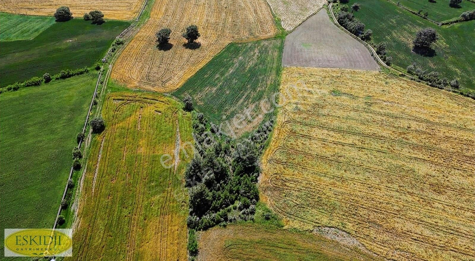 Çanakkale Bayramiç Yahşieli Köyü Yola Yakın Satılık 2500m2 Tarla - Görsel 3