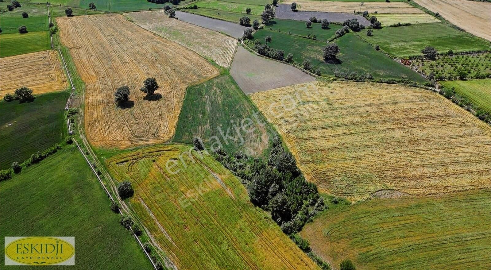 Çanakkale Bayramiç Yahşieli Köyü Yola Yakın Satılık 2500m2 Tarla - Görsel 11