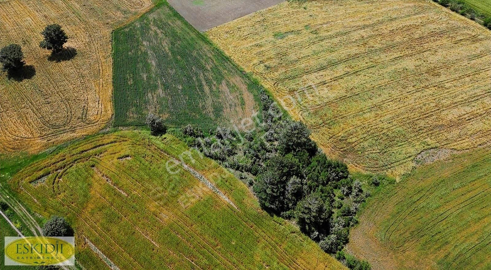 Çanakkale Bayramiç Yahşieli Köyü Yola Yakın Satılık 2500m2 Tarla - Görsel 5