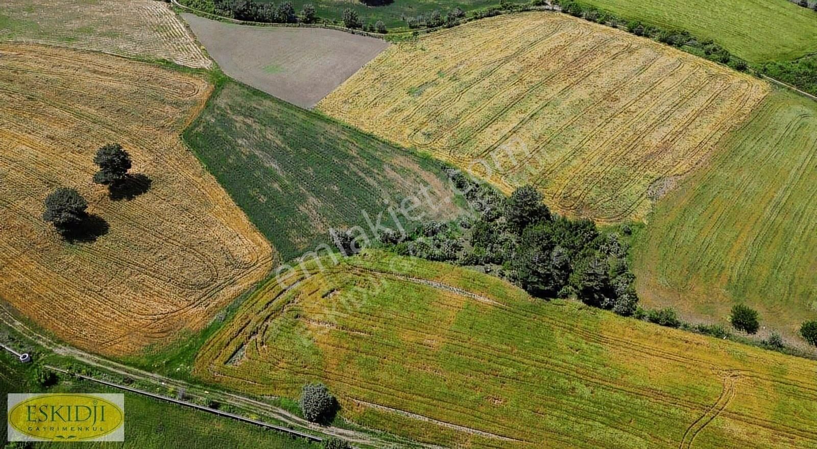 Çanakkale Bayramiç Yahşieli Köyü Yola Yakın Satılık 2500m2 Tarla - Görsel 8
