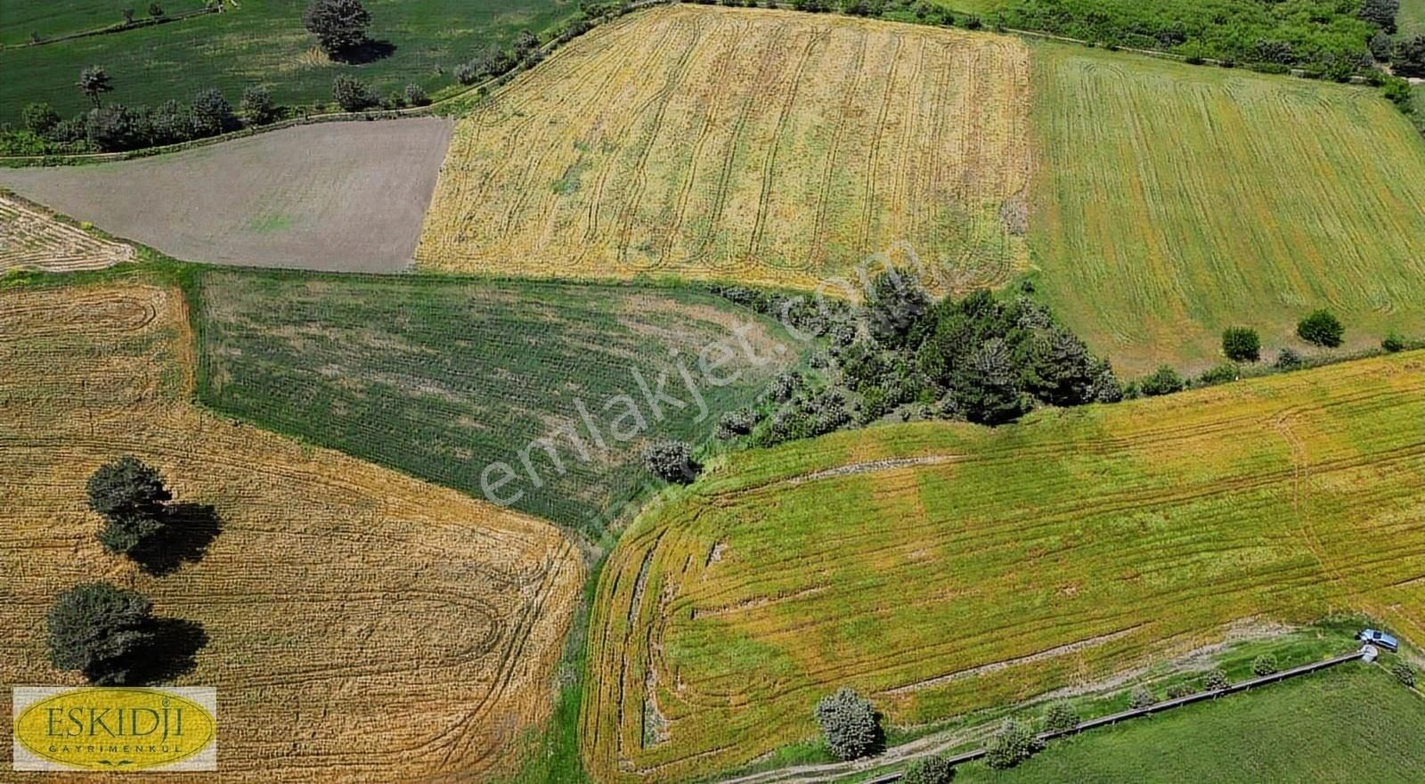 Çanakkale Bayramiç Yahşieli Köyü Yola Yakın Satılık 2500m2 Tarla - Görsel 6