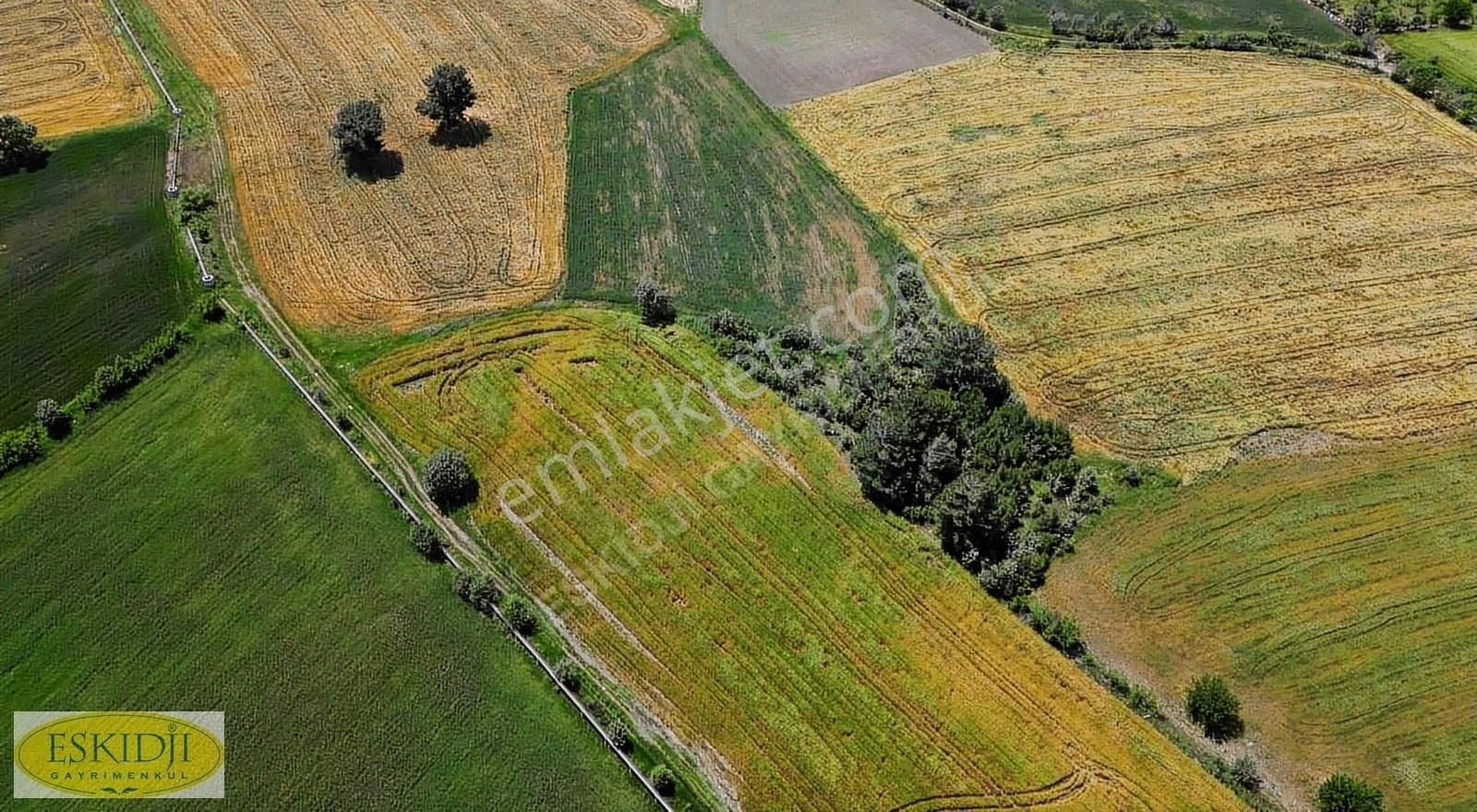 Çanakkale Bayramiç Yahşieli Köyü Yola Yakın Satılık 2500m2 Tarla - Görsel 4