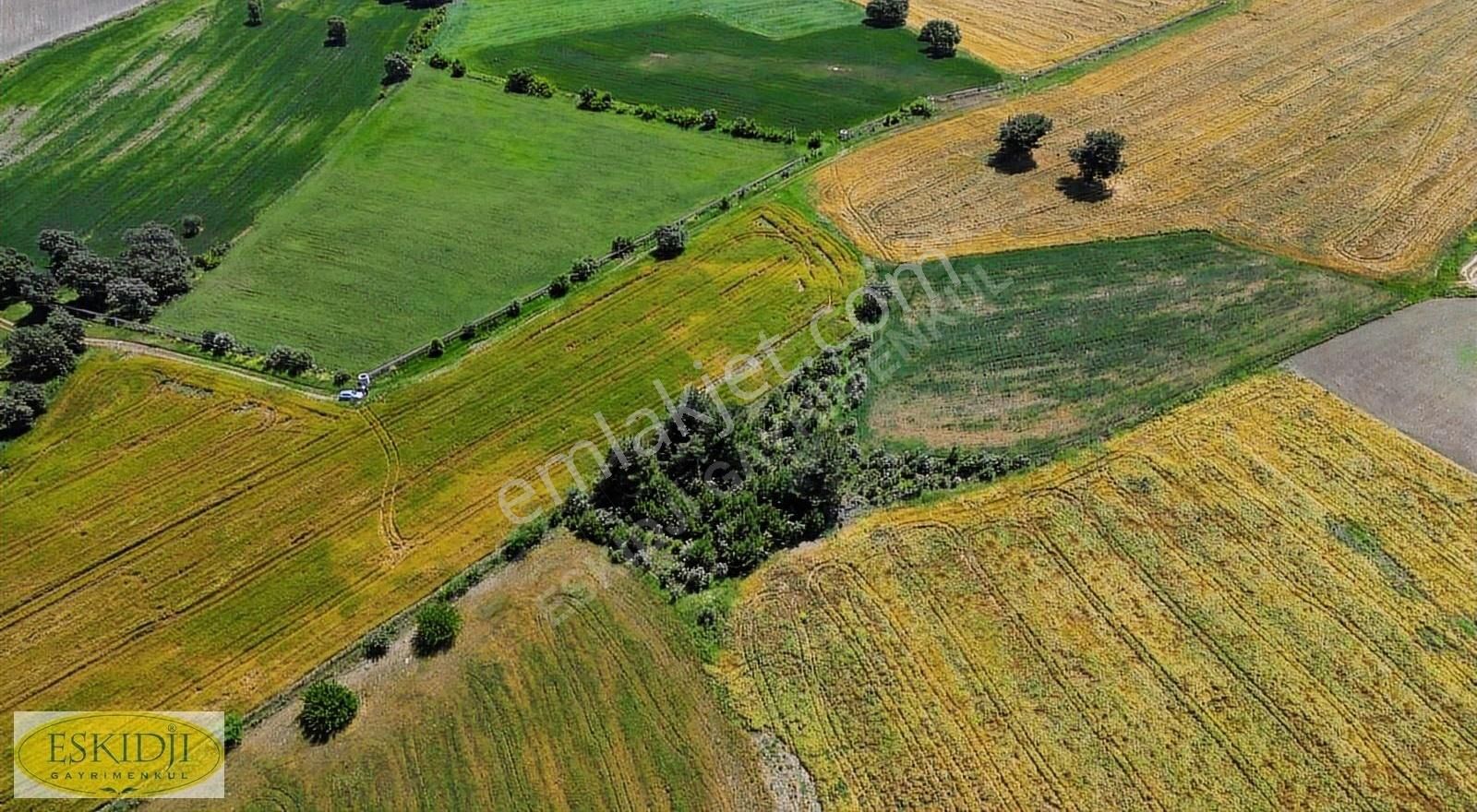 Çanakkale Bayramiç Yahşieli Köyü Yola Yakın Satılık 2500m2 Tarla - Görsel 9