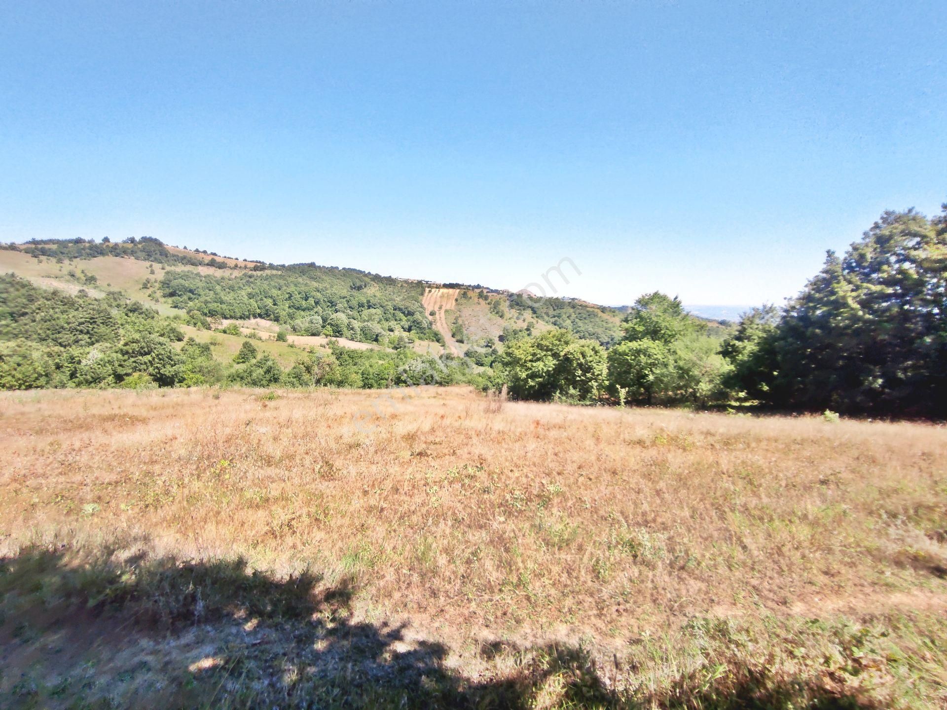 Yenişehir Kirazlı Yayala Da Doğa Manzaralı - 2590 -m2- Tarla