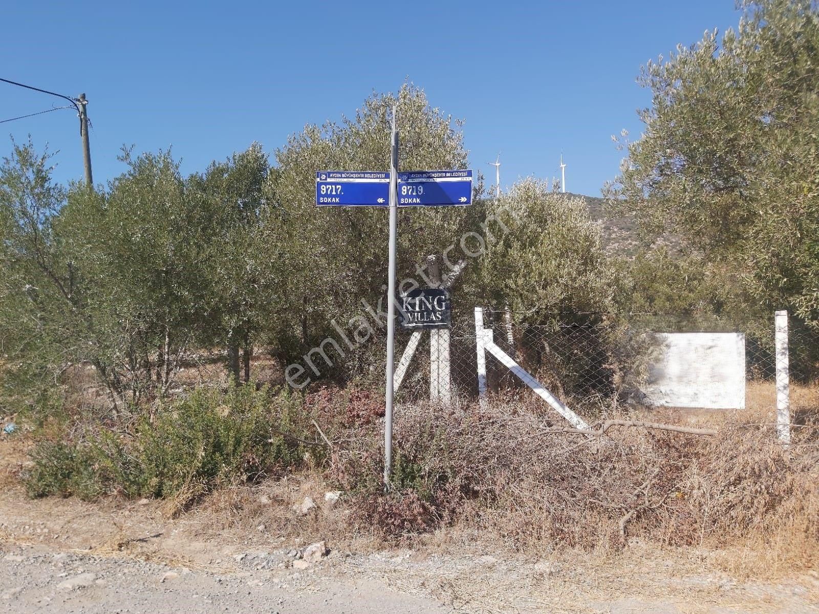 Aydın Didim Fevzipaşa'da İmar Bölgesine Yakın Yol Üstü Satılık Zeytinlik - Görsel 34