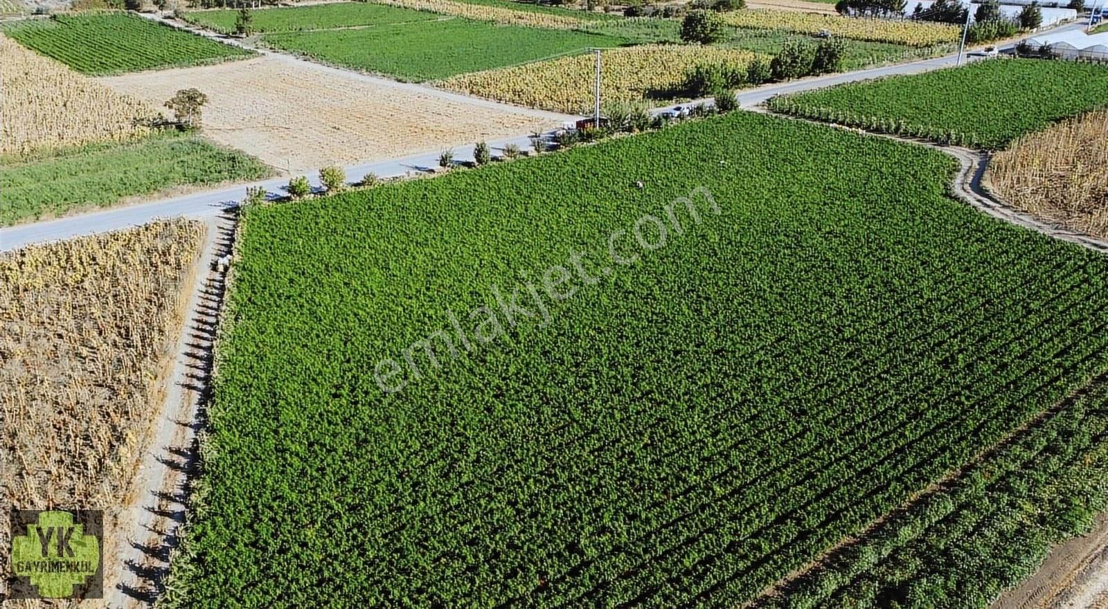 Bursa Yenişehir Kavaklı Da 7.050 M² Yola Cephe Tarla - Görsel 5