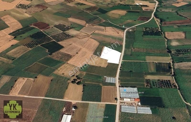 Bursa Yenişehir Kavaklı Da 7.050 M² Yola Cephe Tarla - Görsel 4