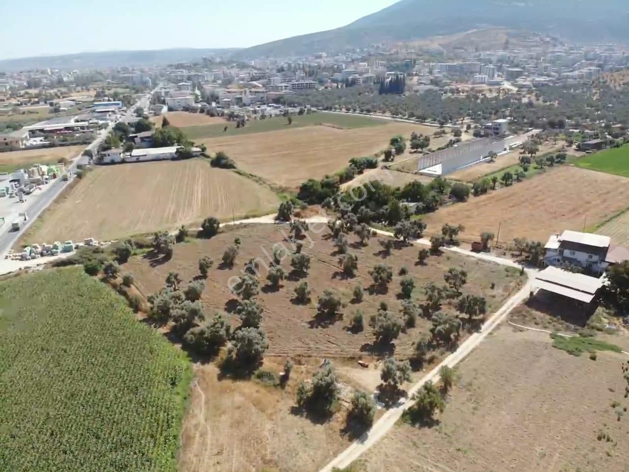Acilll... Fırsattt... Burgaz Mah. İmara Sadece 250 M - Satılık 9 Dönüm Kupon Tarla