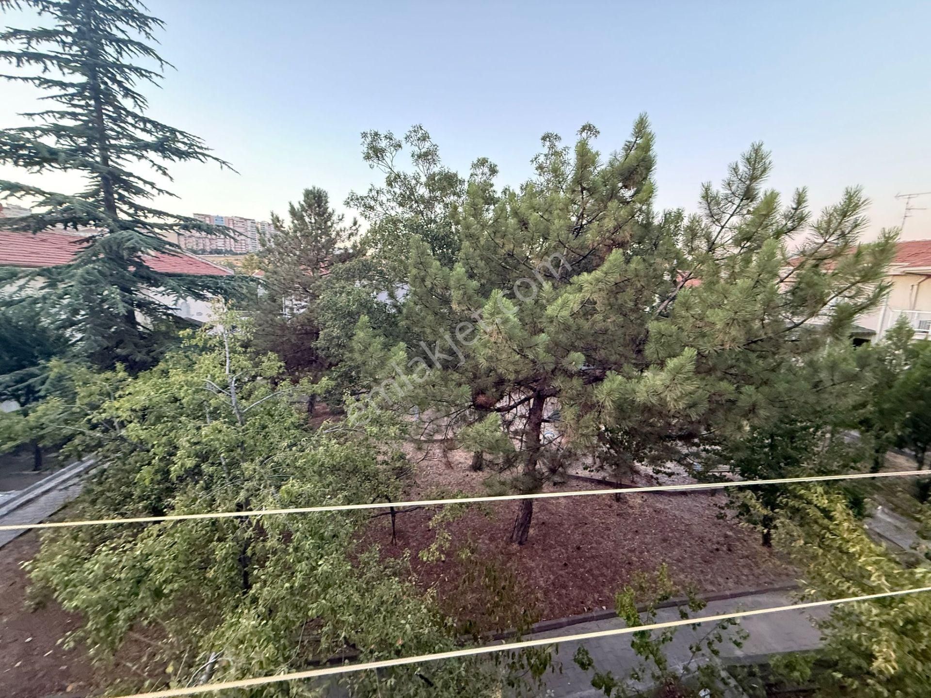 Rıza Acar'dan İlkyerleşim Mah. Çiğdemlik Sitesinde 3+2 Bahçeli Müstakil - Görsel 29