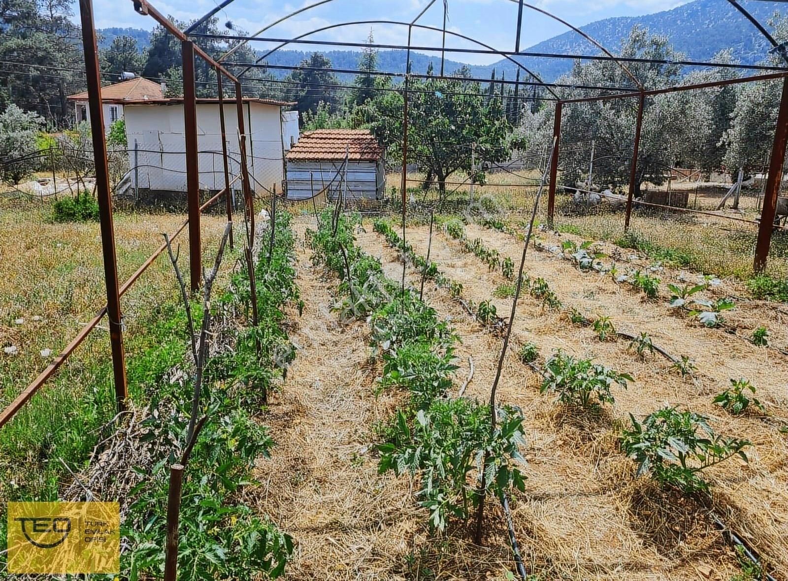 Türk Emlak'tan Bayatbademleri'nde Orman Manzaralı Müstakil Ev - Görsel 14