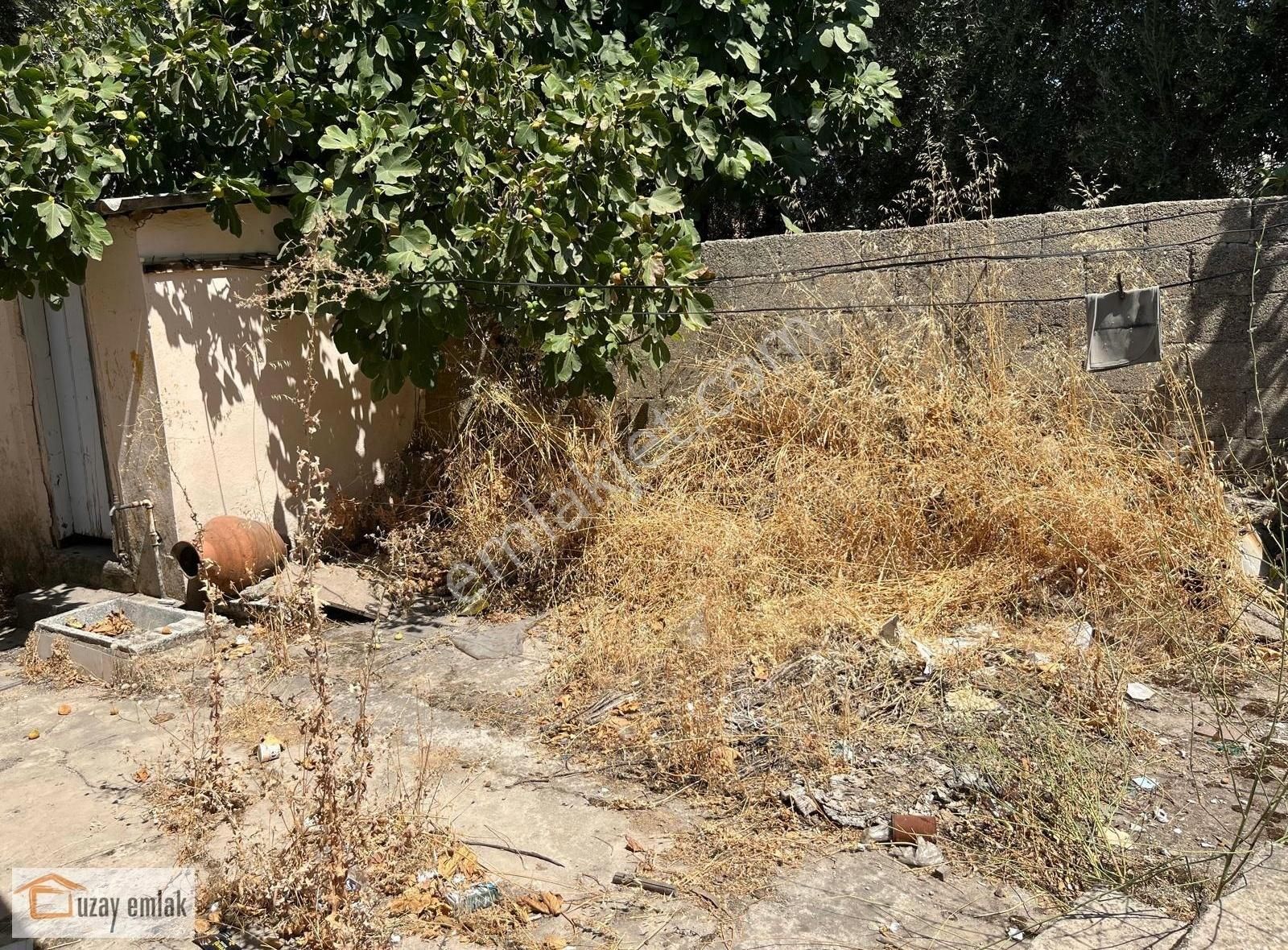 Milas Hacıabti Mahallesi Topbaşı Mevkii Satılık Müstakil Ev - Görsel 6