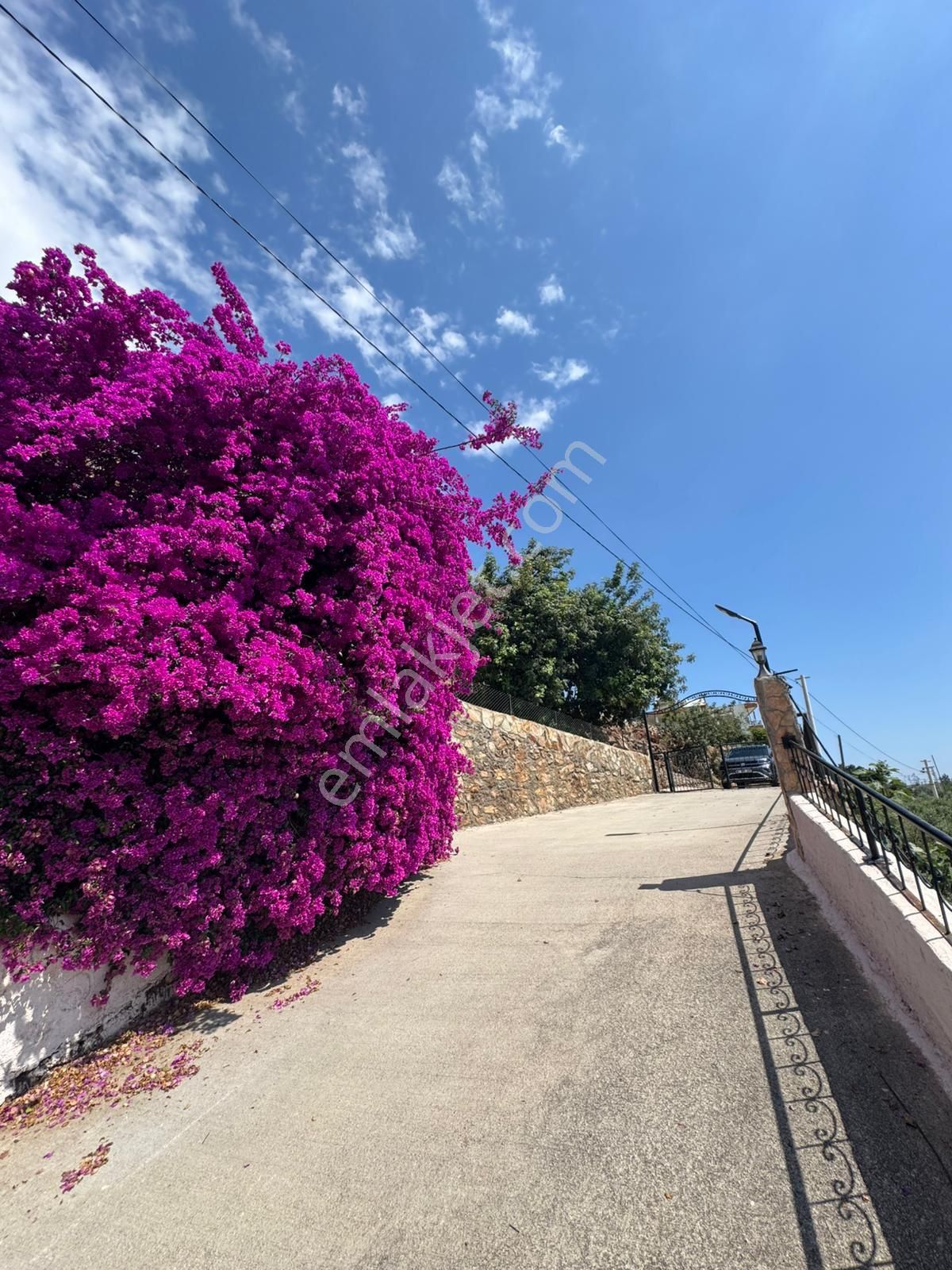 Alanya Soğukpınar’da Müstakil Lüks Villa Ve Bahçesi Full Deniz Manzaralı - Görsel 9