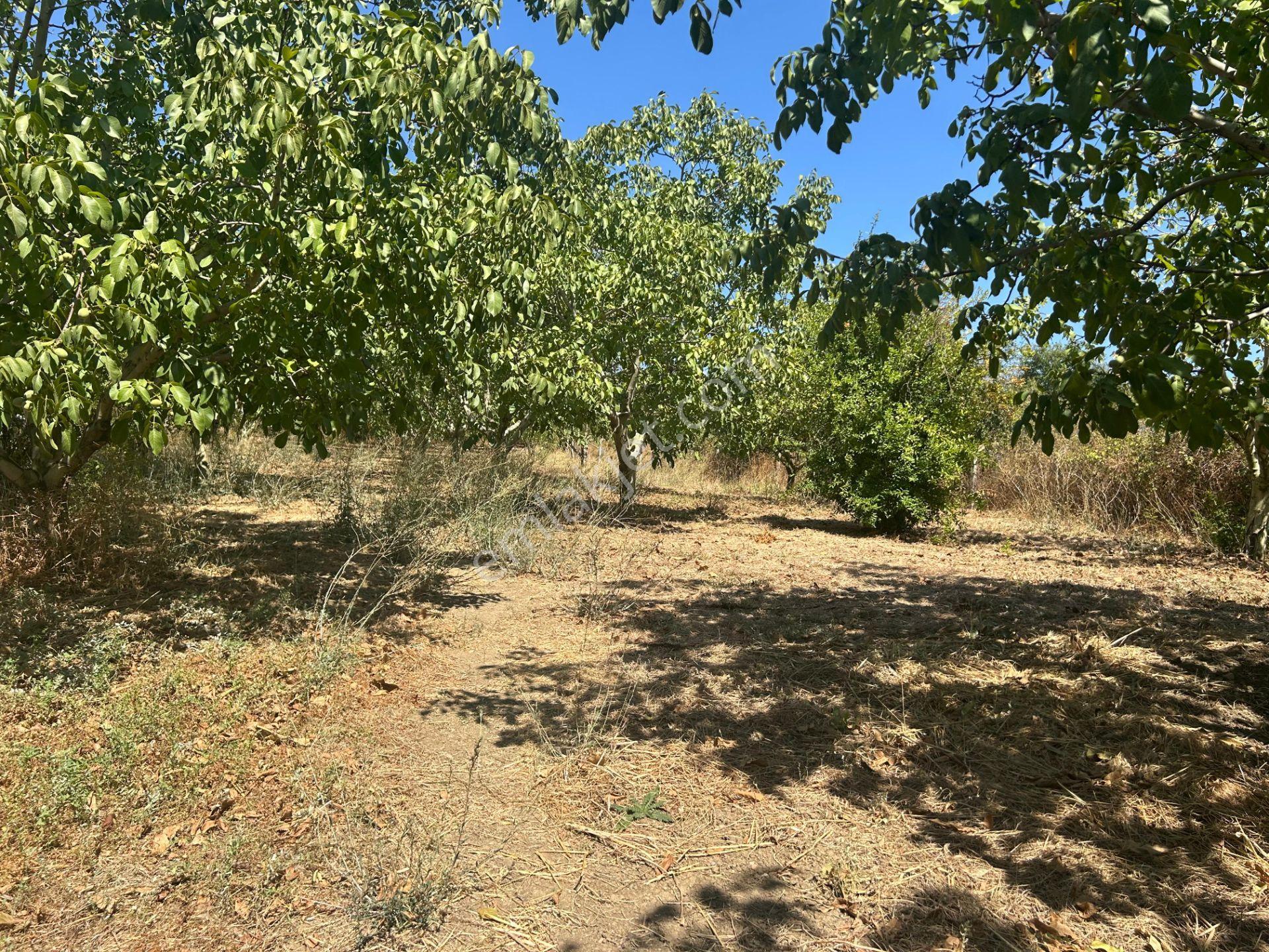 Kocaeli Karamürsel İnebeyli %30 Konut İmarlı 1642 M² Kaçmaz Satılık Bahçe - Görsel 9