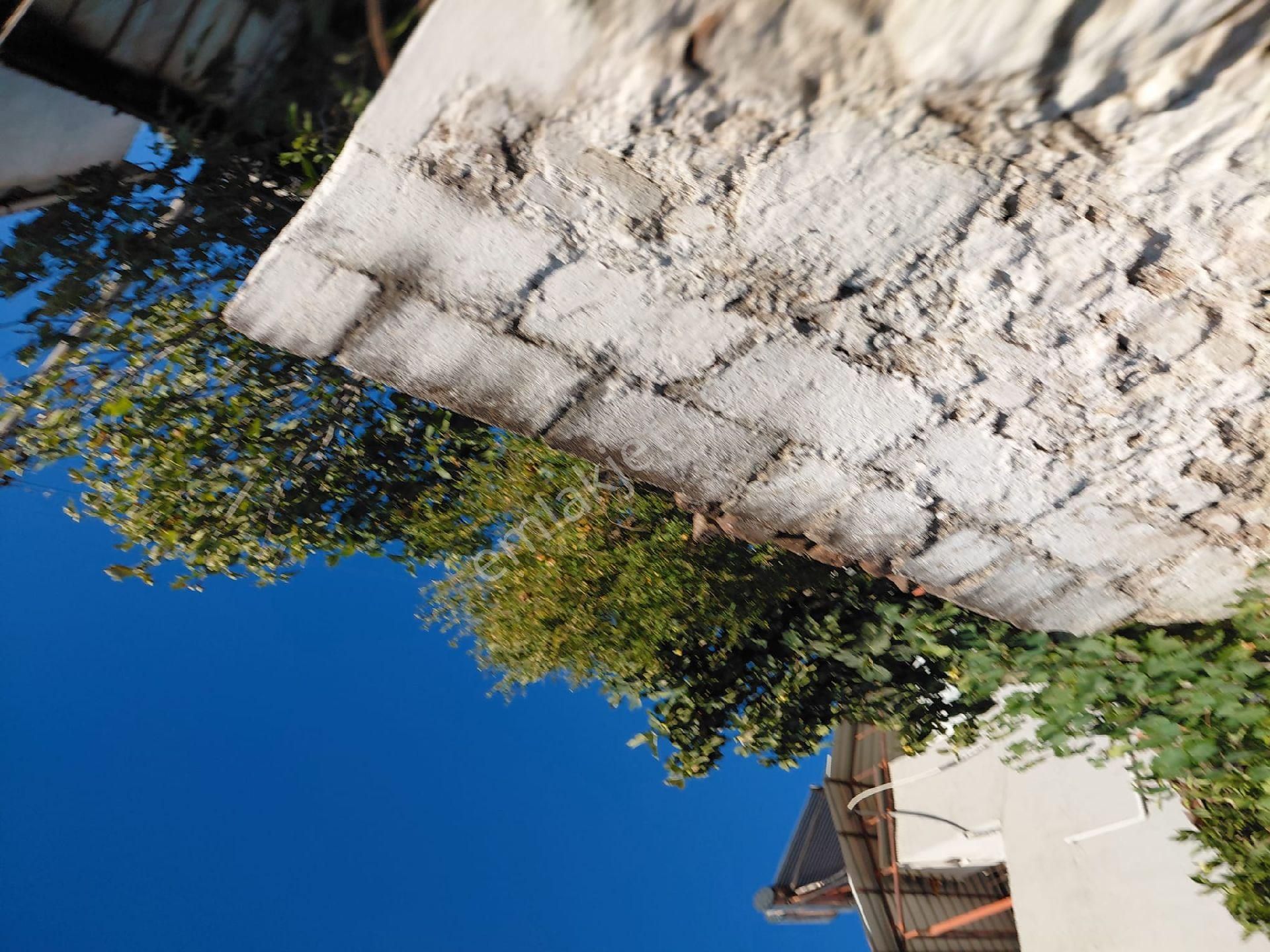 Işıkhan Emlak'tan Havran Büyükderede Satılık Köy Evi - Görsel 8