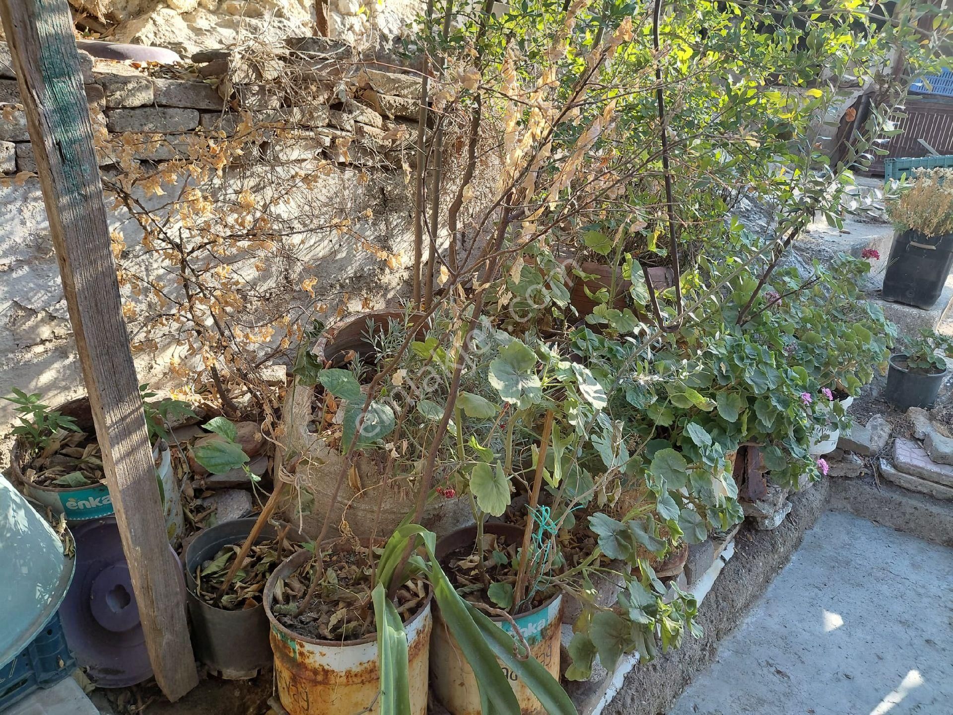 Işıkhan Emlak'tan Havran Büyükderede Satılık Köy Evi - Görsel 6