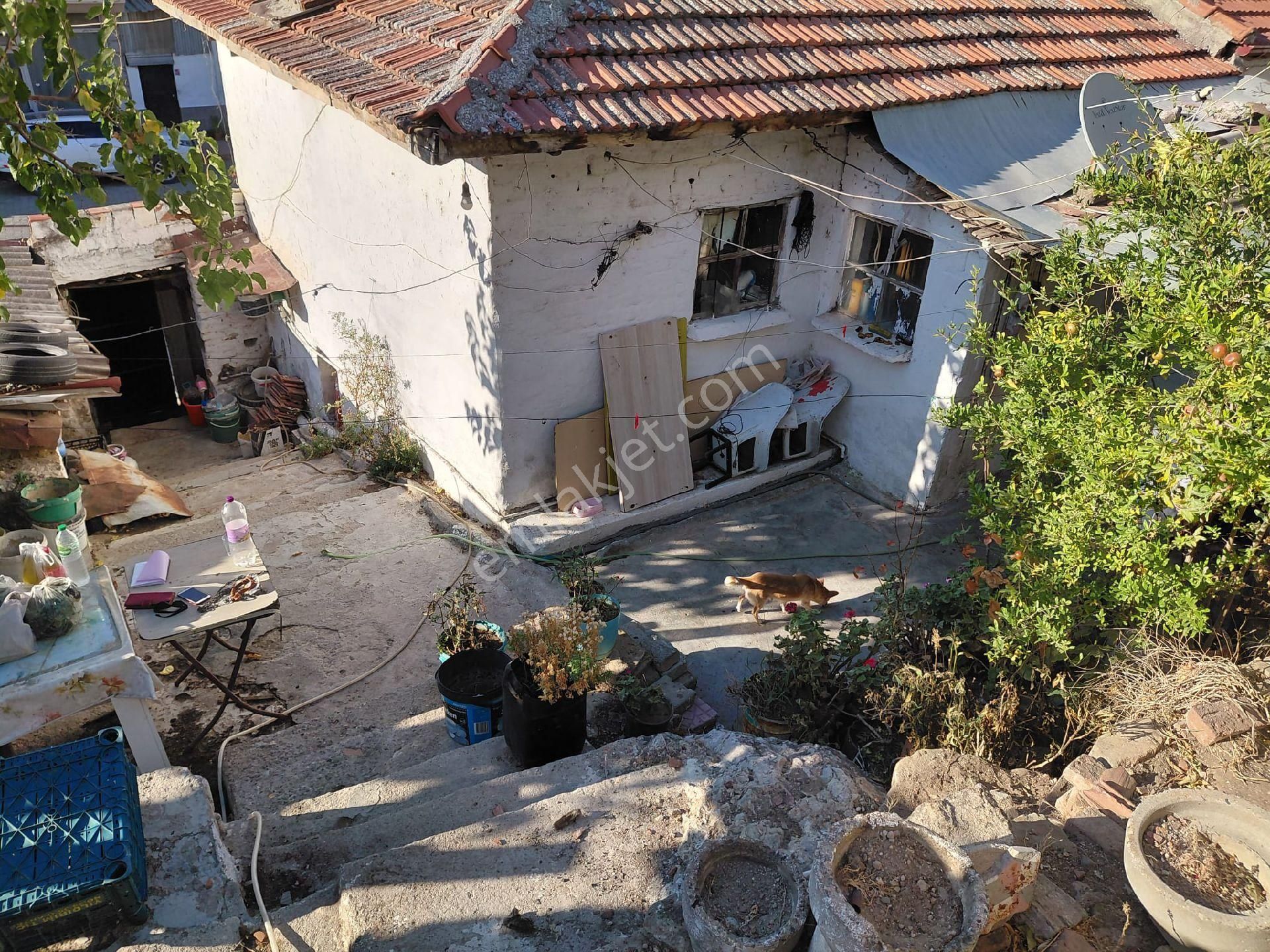 Işıkhan Emlak'tan Havran Büyükderede Satılık Köy Evi - Görsel 11