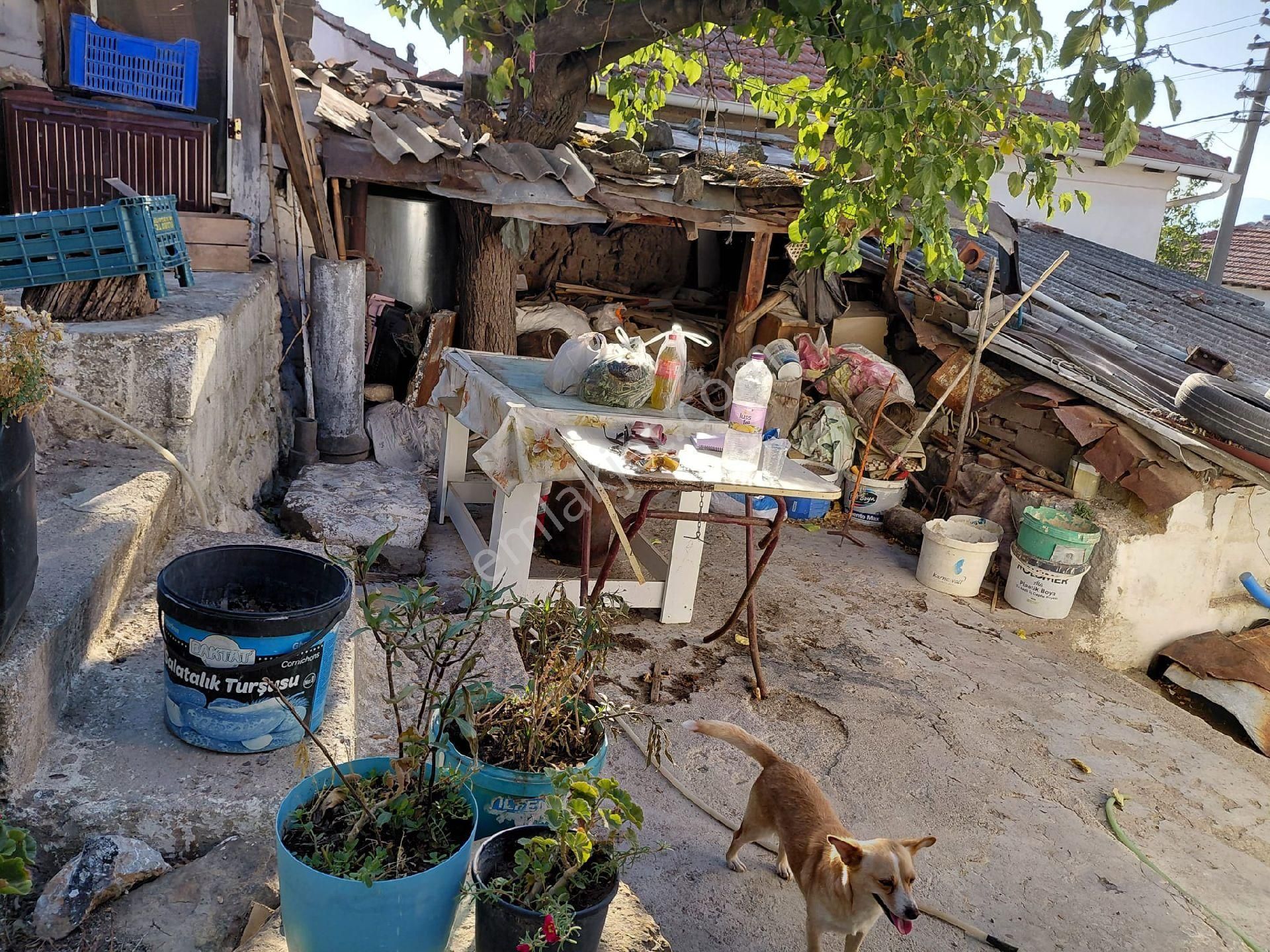 Işıkhan Emlak'tan Havran Büyükderede Satılık Köy Evi - Görsel 3