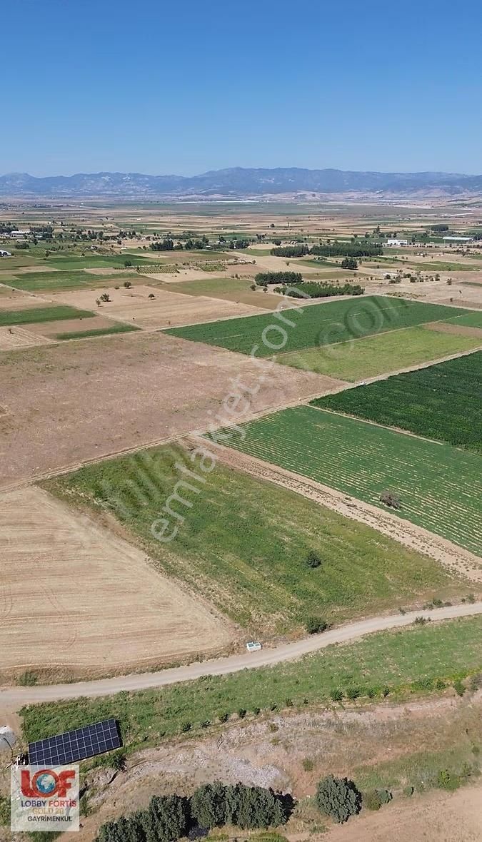 Lobby Fortisten Acıpayam Akalanda Satılık 5.637 M2 Tarla - Görsel 9
