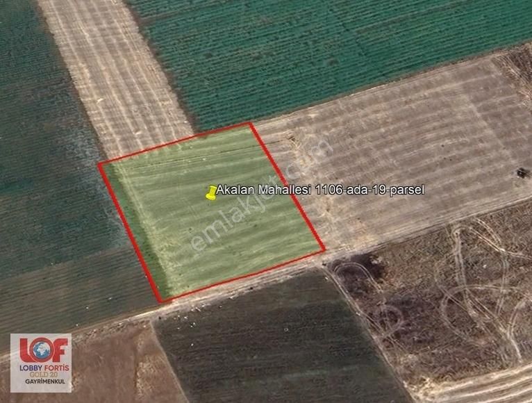 Lobby Fortisten Acıpayam Akalanda Satılık 5.637 M2 Tarla - Görsel 6